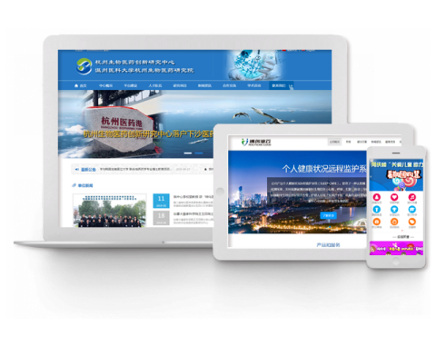 企业网站建设